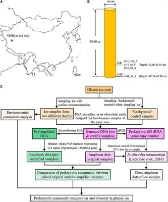 Clean Low-Biomass Procedures and Their Application to Ancient Ice Core Microorganisms